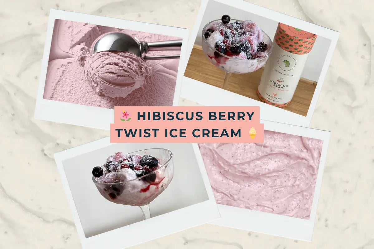 🌺 Hibiscus Berry Twist Ice Cream 🍦