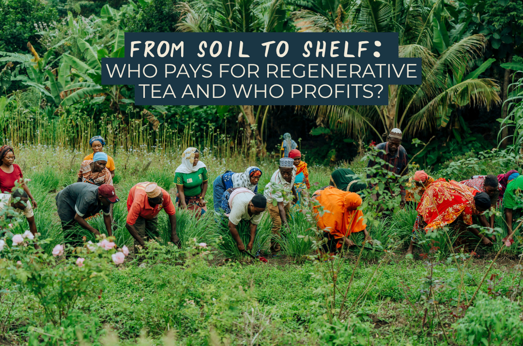 From Soil to Shelf: Who Pays for Regenerative Tea and Who Profits?