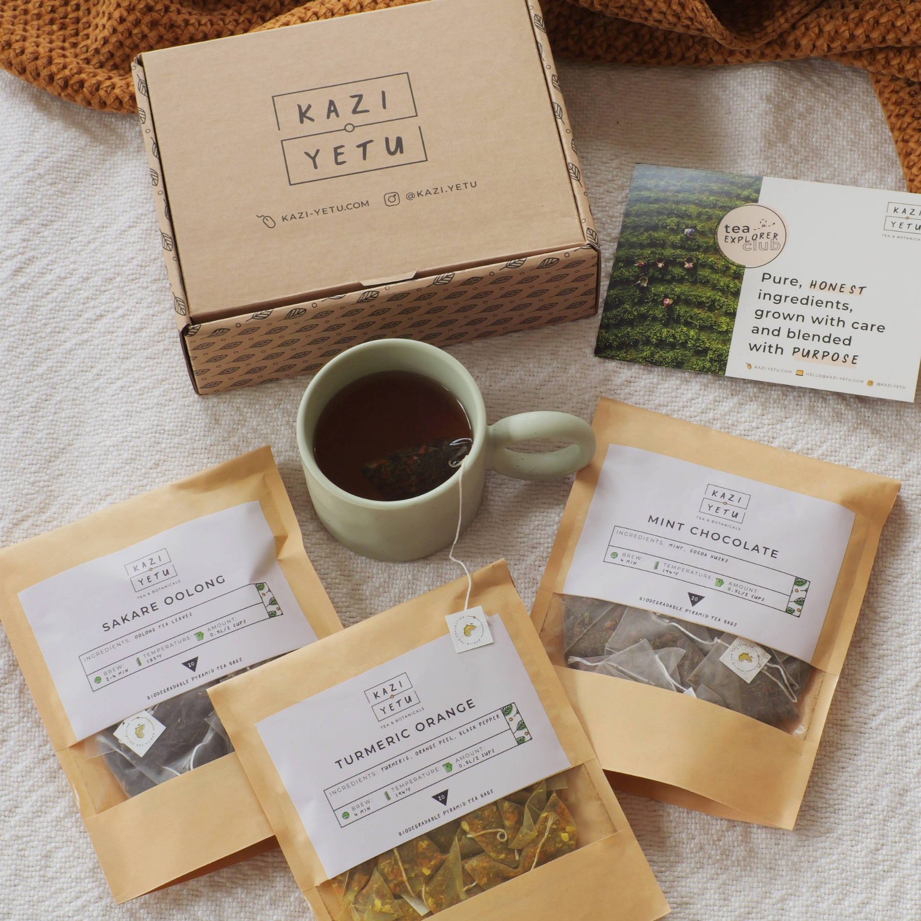 Tea Explorer Box