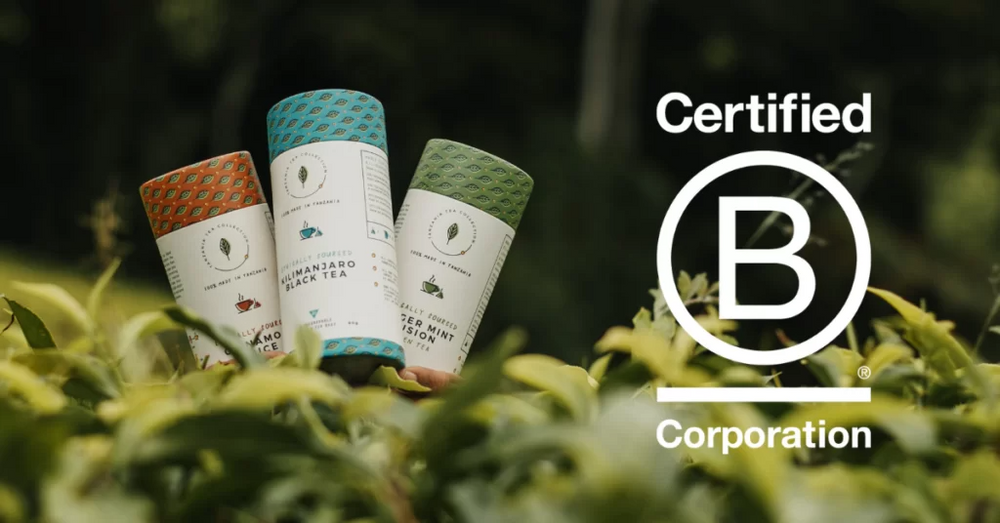 Why this social enterprise chose B Corp as its flagship certification